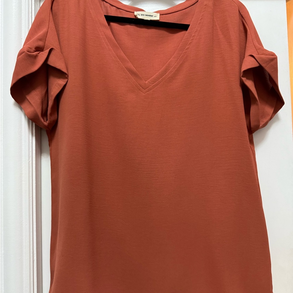 Eesome Terracotta V-Neck Blouse